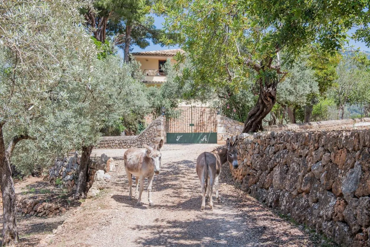 Raco De Soller Villa 0*,