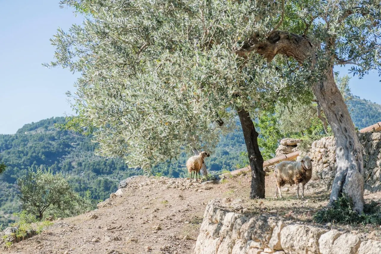 Raco De Soller Villa 0*,